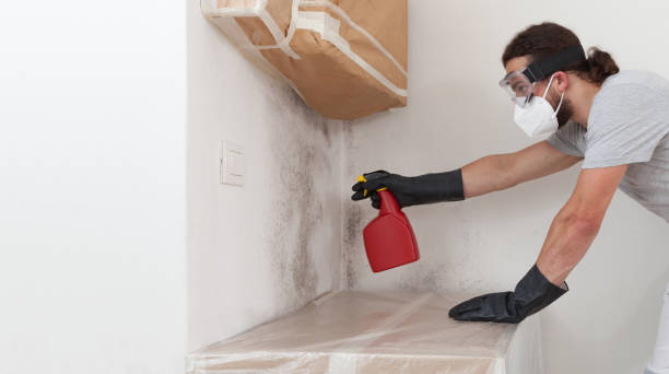 Professional Bathroom Mold Removal technician working in Moshannon, PA