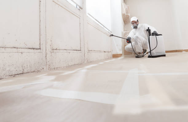 24/7 Emergency Bathroom Mold Removal experts in Moshannon, PA